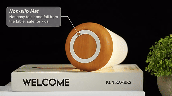 13-Color Changing Night Light with RGB Remote Control2